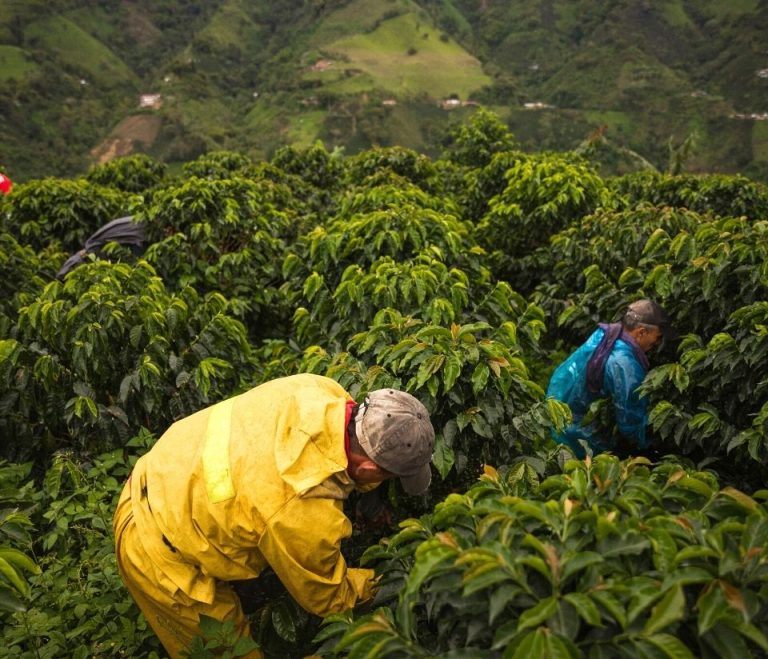 The Ethics Of Coffee Consumption